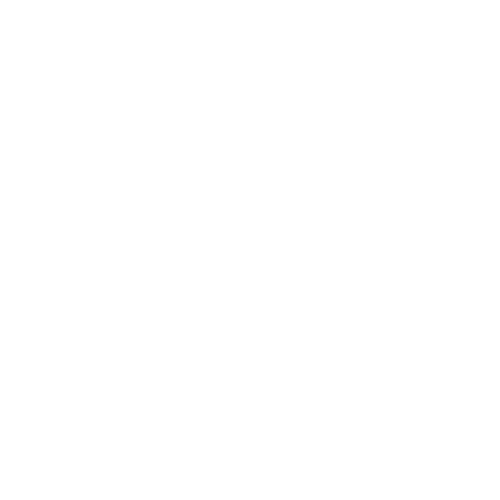 ZiJin Serbia Copper - PROTIM Inzinjering Klijent